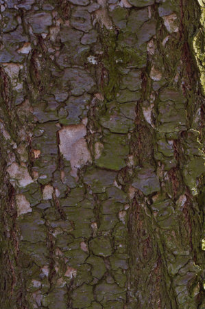 Smooth surface of granite stone, texture background from natural material close-up.の写真素材