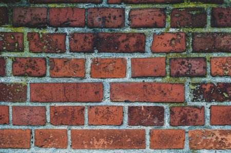 Dirty red grunge brick wall, peeling plaster, grungy texture of darkened brick.の写真素材