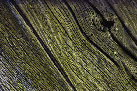 Very old cracked wood plank, vintage wood background close-up, rough textured surface.の写真素材