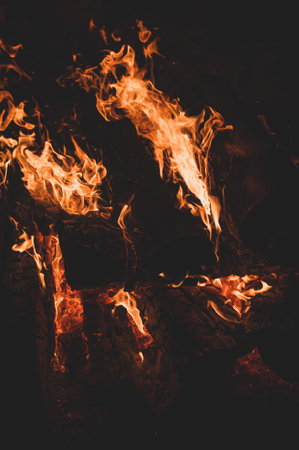 Tongues of flame. Red orange bonfire black background. Danger Uncontrolled force. attractive fire....
