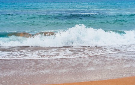 Enjoy the calm of a sandy beach with gentle waves and turquoise water. The serene shore, with its...