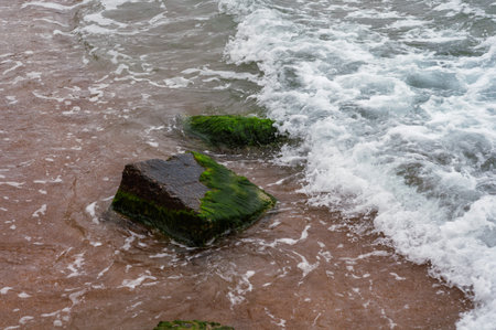 sea waves hitting moss-covered rocks