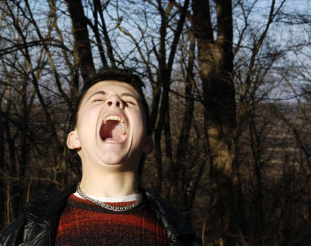 The shrill scream I.の写真素材