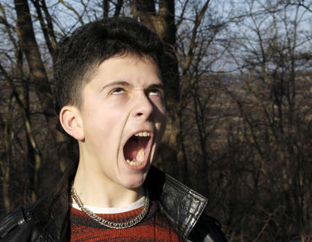 The shrill scream II.の写真素材