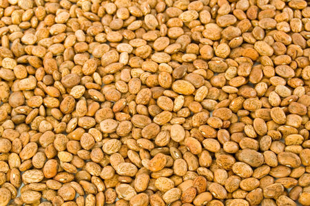 bean background