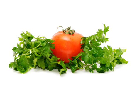 Tomatoes and parsley isolated on a white backgroundの写真素材