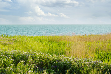 Coast of the big lake.の写真素材