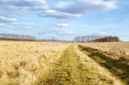 field and skyの写真素材