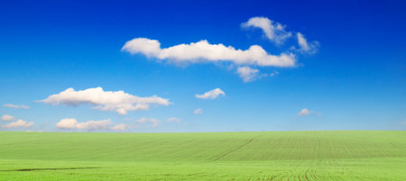 green field and the blue sky covered by beautiful white clouds の写真素材