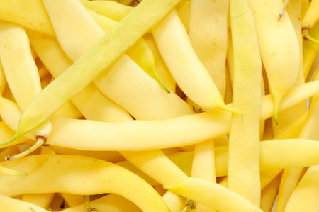 pod bean                                    の写真素材