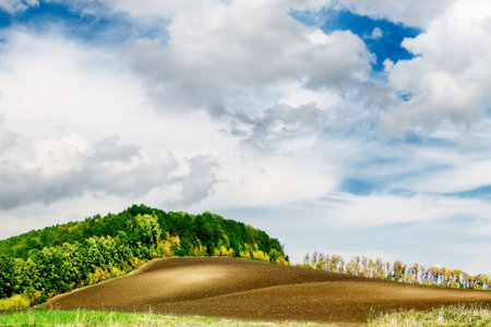meadow and the beautiful blue sky covered by cloudsの写真素材