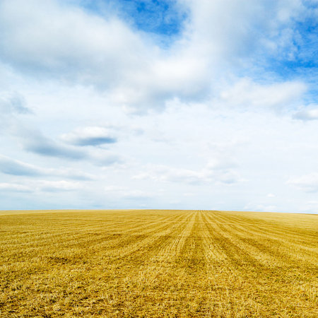 field and blue skyの写真素材