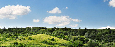 hill covered by a grass and tree