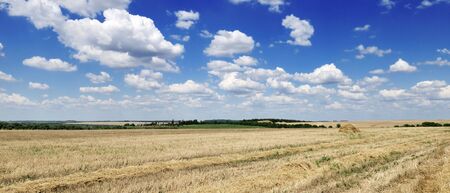 fieldの写真素材