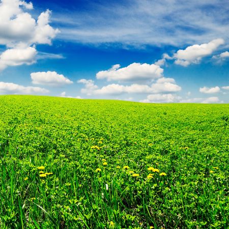 field and cloudsの写真素材