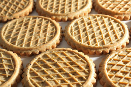 cookies on a whiteの写真素材