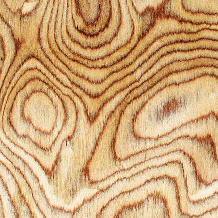  Wooden texture                                   の写真素材