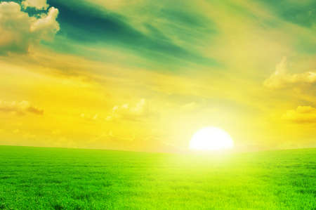 Beautiful sunset on a spring field.の写真素材