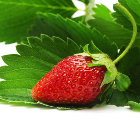 strawberry isolated on a white background                                    の写真素材