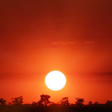 beautiful sunset                                    の写真素材