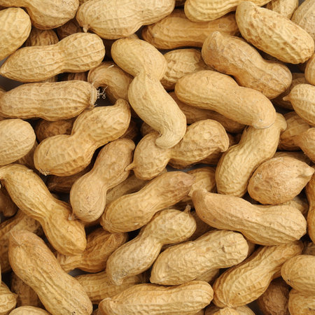 groundnut background                                    