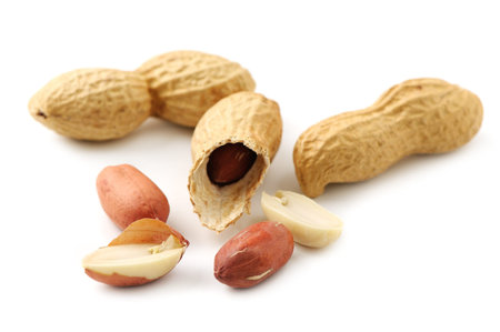 groundnut isolated on white background                                   