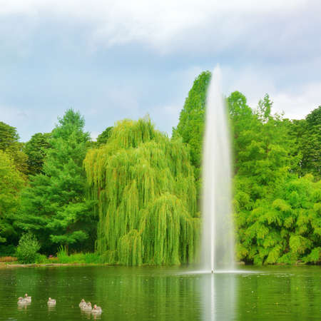 Large fountain in a city park                                    の写真素材