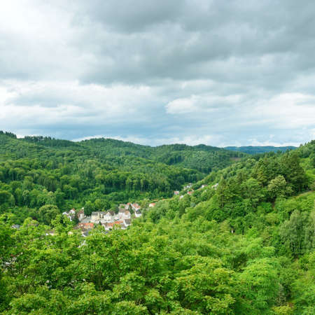 Mountain covered forest                          の写真素材