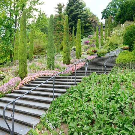 beautiful staircase in a beautiful parkの写真素材