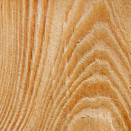 wood texture with growth ringsの写真素材