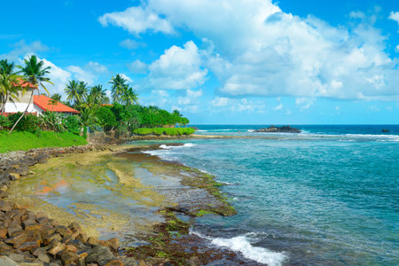 Ocean beach with palm trees and blue sky. Sri Lankaの写真素材