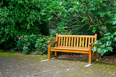 Wooden bench in beautiful parkの写真素材