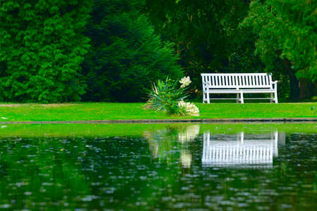 wooden bench on shore of picturesque lakeの写真素材