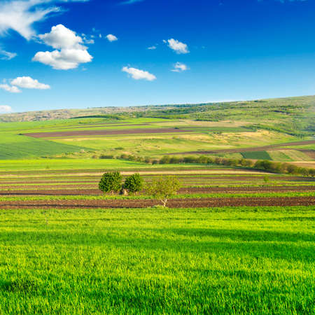 beautiful rural landscape and blue sky with cloudsの写真素材