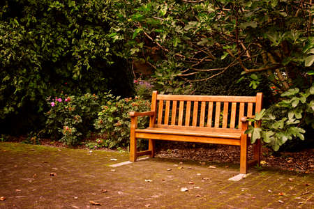 Wooden bench in beautiful summer parkの写真素材