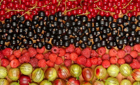 Collection of variety fruits (currants, gooseberries, raspberries, plums). Fruit background.Top view.の写真素材