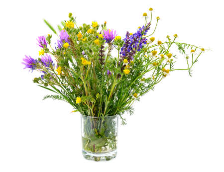 Variety of wild flowers in a glass isolated on white background.の写真素材