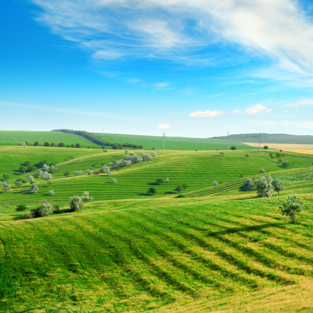 Hilly terrain with a terrace and a blue sky with white clouds.