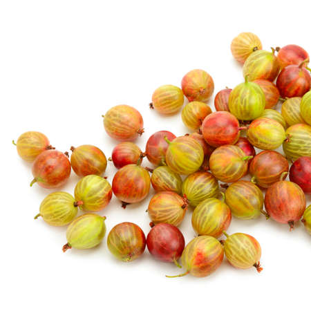 Big ripe gooseberries isolated on a white backgroundの写真素材