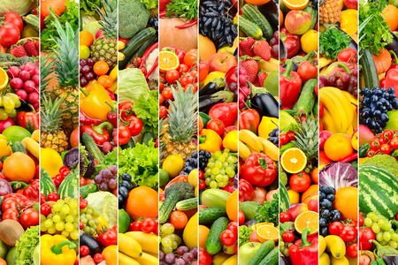 Large background vegetables and fruits divided vertical linesの写真素材