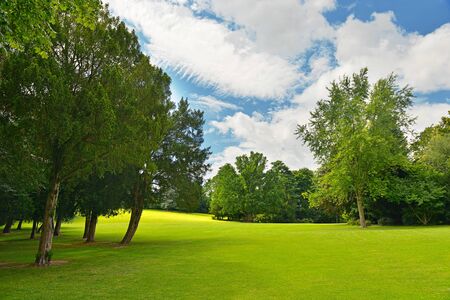Large golf course in beautiful summer parkの写真素材