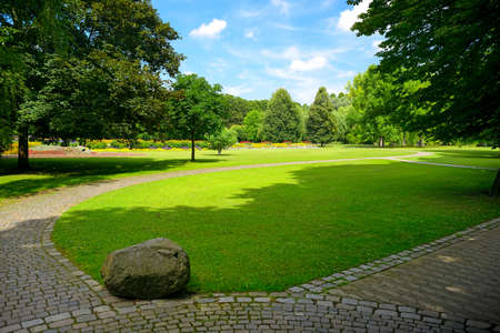 Lovely meadow with green grass and walking paths in public park.の写真素材