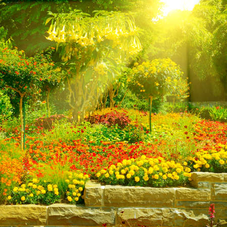 Bright flower bed with flowers illuminated by the sun.の写真素材