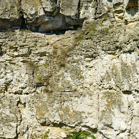 Geological section of ancient deposits of shell rock.