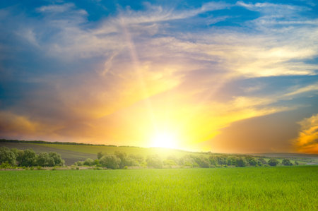 Beautiful sunrise over green field. Blue sky and white clouds.の写真素材