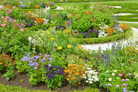 Blossoming flowerbed in the summer parkの写真素材