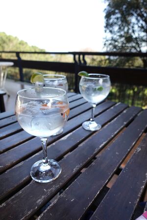 taking gin tonics with friends in a country houseの写真素材