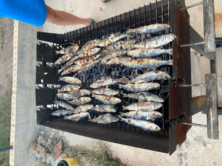 Vertical view on traditional catalan dish frying sardinesの写真素材