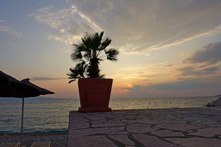 A small palm tree in a pot on the beach at sunset on the shores of the Aegean Sea in the city of Saranda in Albaniaの写真素材