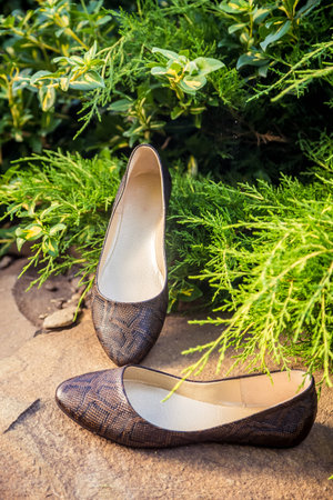 snakeskin ballet flats, women's shoes on a rockの写真素材
